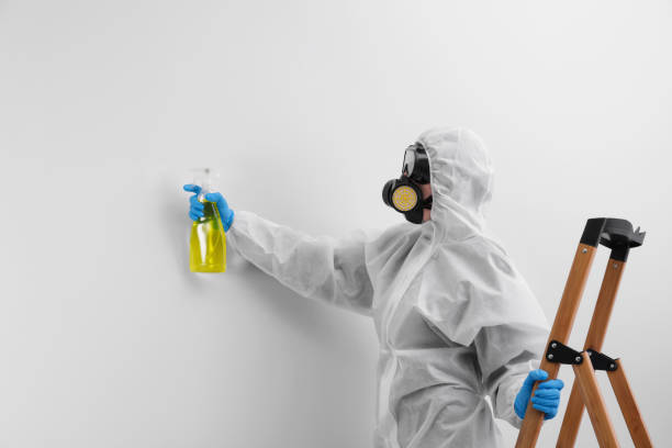 Best Asbestos and Lead Testing During Mold Inspection  in Wappingers Falls, NY